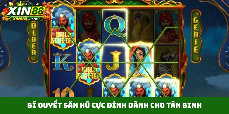 Bí quyết săn hũ cực đỉnh dành cho tân binh