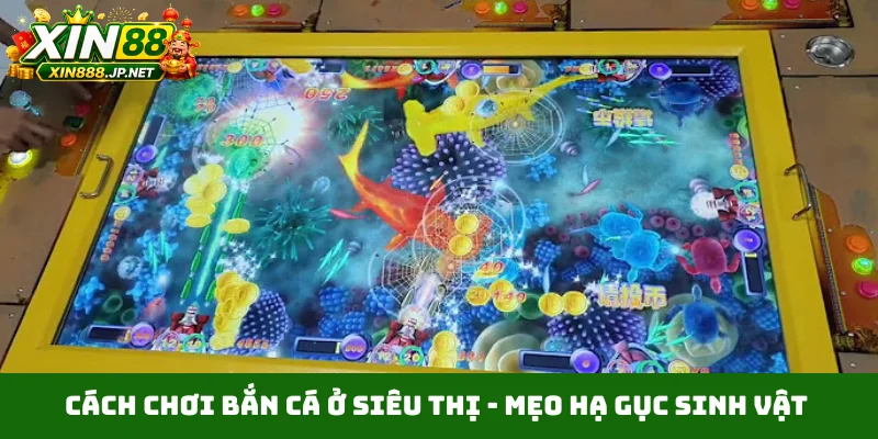 Cách chơi bắn cá ở siêu thị