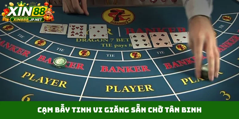 Cạm bẫy tinh vi giăng sẵn chờ tân binh