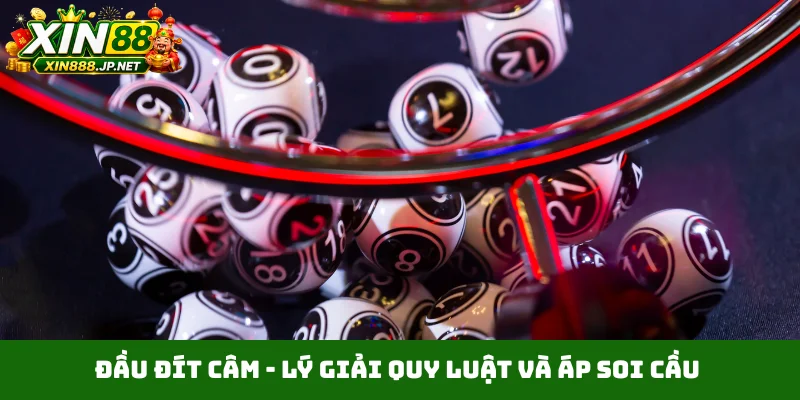 Đầu đít câm