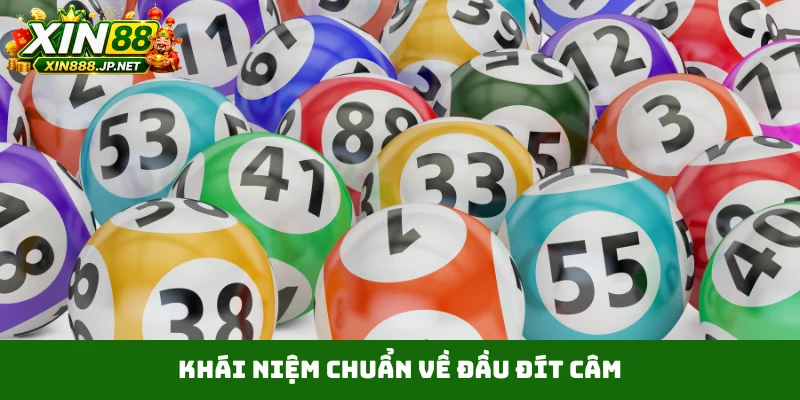 Khái niệm chuẩn về đầu đít câm