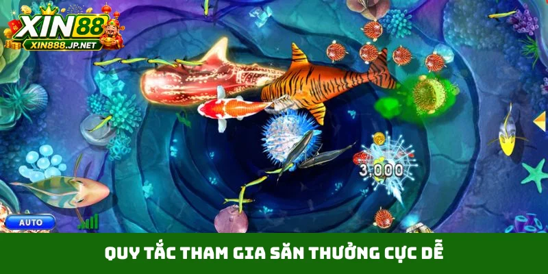 Quy tắc tham gia săn thưởng cực dễ