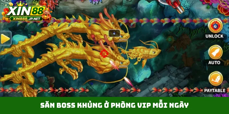 Săn boss khủng ở phòng VIP mỗi ngày